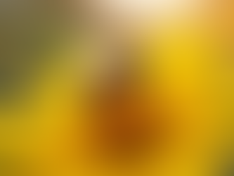 Inspiration from Bees: Become Your True Self