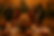 fall sneak peak.png