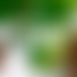 SEXSTAINBILITY: UN NUEVO PROYECTO DE SOSTENIBILIDAD