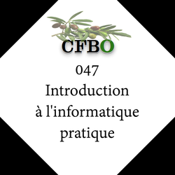 047_Introduction_à_l'informatique_pratique