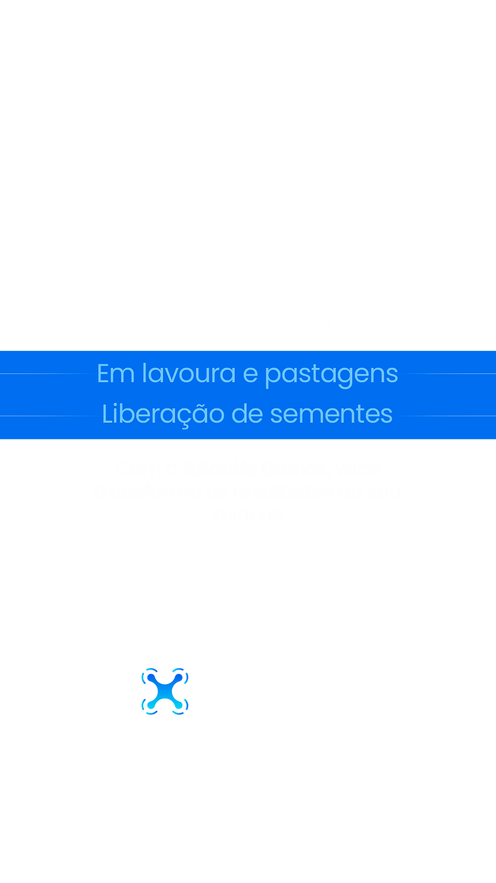 Serviços-Texto-sem-o-Botão.png