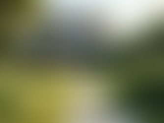 Maximizing Returns: Tailored Strategies for Property Investors