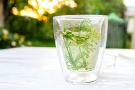 Thumbnail: Cleavers Tea Wise