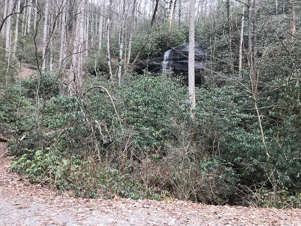 Headwaters Rd / Cove Creek Rd Climb