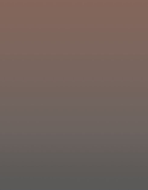Left Column Background_edited.jpg