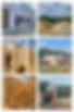 Collage.jpeg