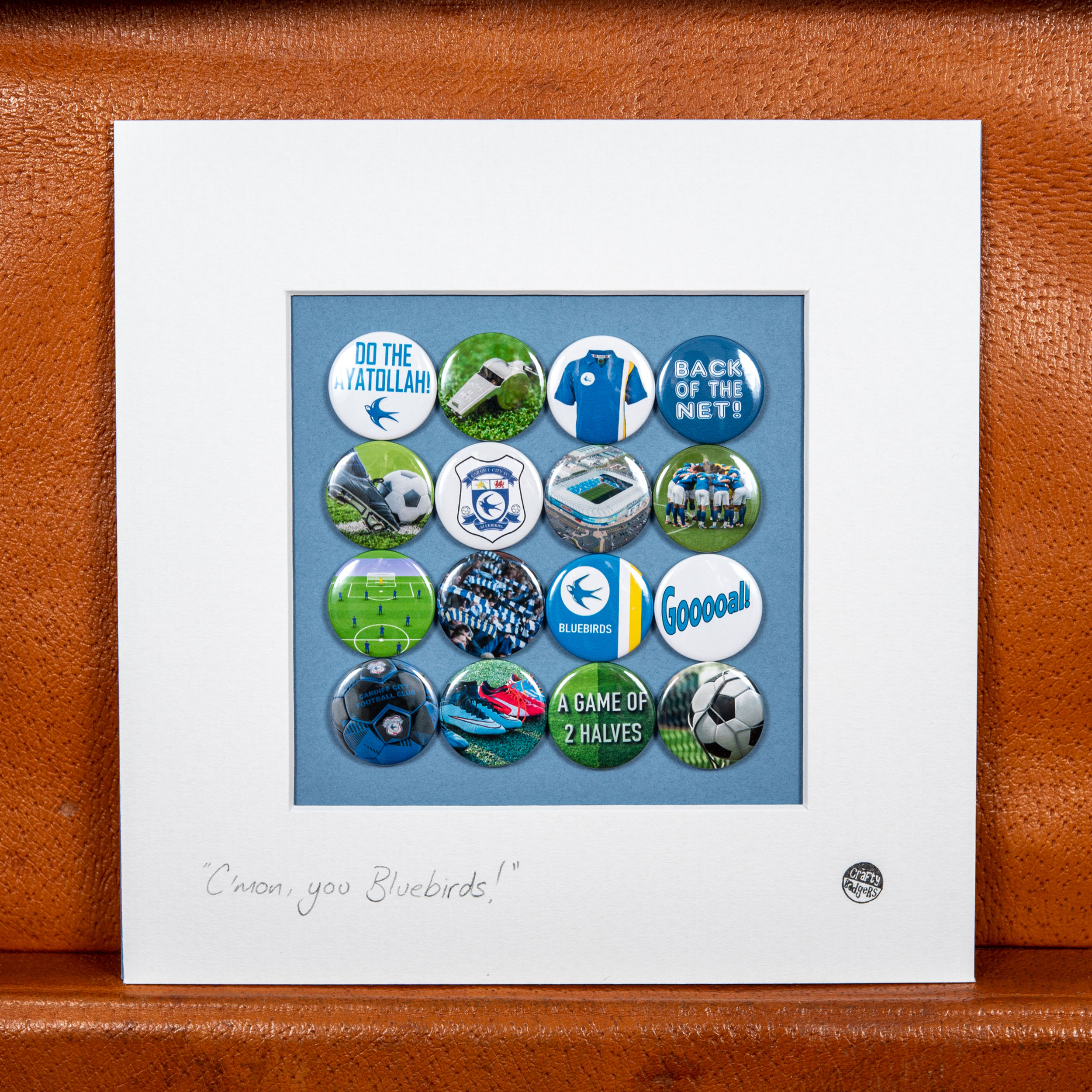 Football - Cardiff City