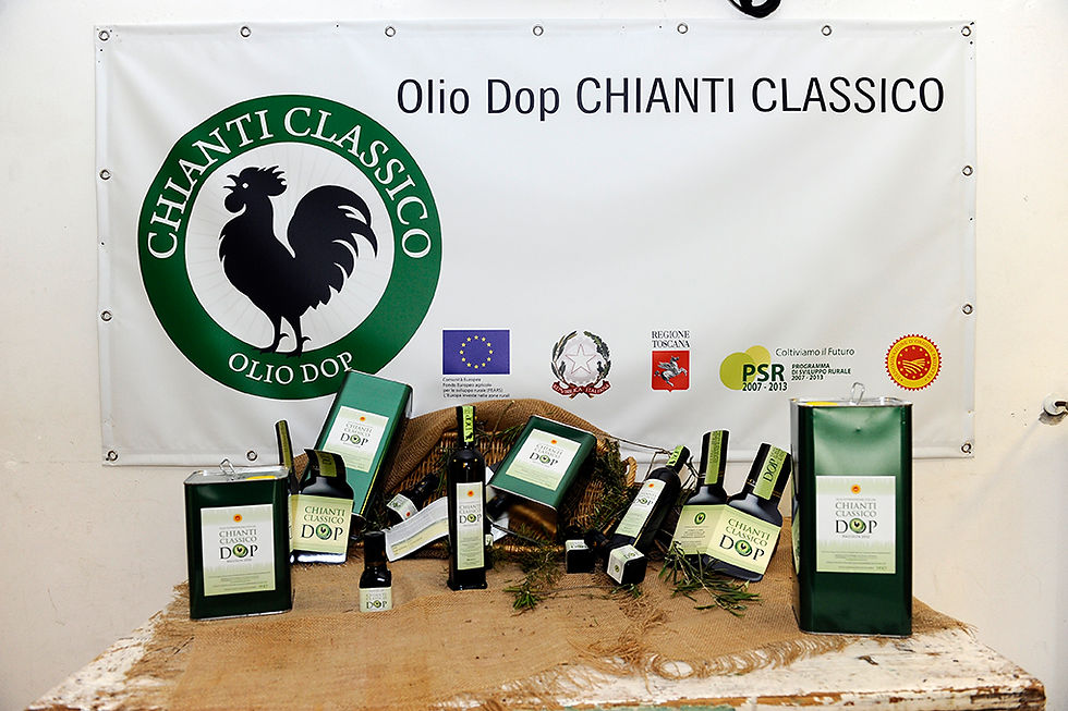 FOTO OLIO DOP 2013-2015 002