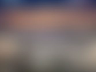 Eles estão de volta, temporada de navios no Porto de Santos