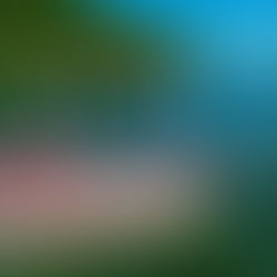 Passeio de Escuna em Santos