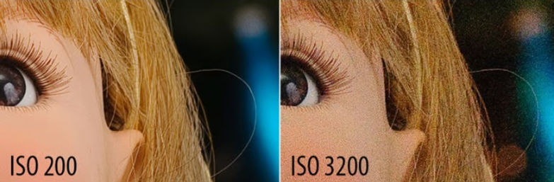 ISO.jpg