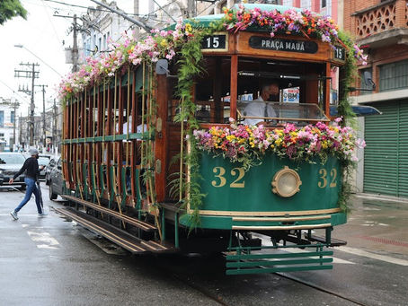 8 mil flores por toda a cidade de Santos
