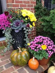 Fall Container Sunday Funday