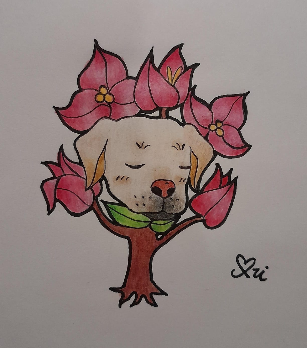 Dibujo: Buganvilia y Jonathan Autor: Cori