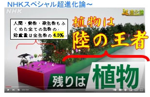 天が与えた全能食