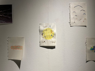 IMG_2439.jpeg