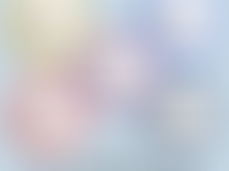 Digitalizing Learning: The Framework and Process of RPL Assessment