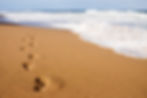 AdobeStock_9585926.jpeg