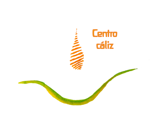 CENTRO CÁLIZ
