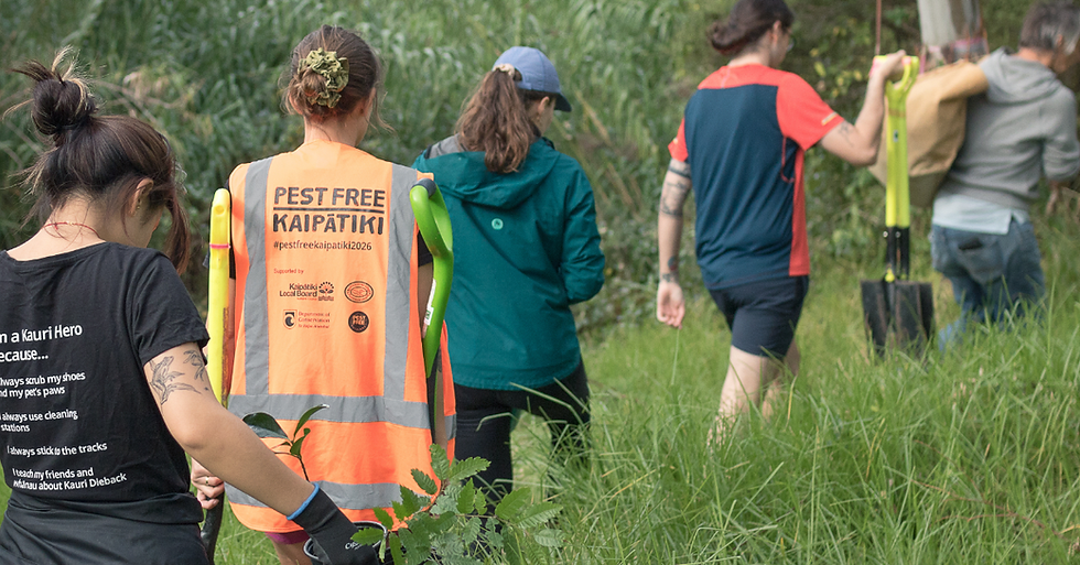 Staff working into the bush to plant.png