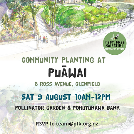Community Planting Puawai 9 August 2025.png