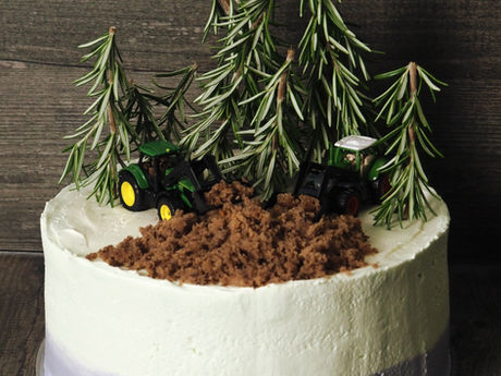 Topfen-Mascarpone-Torte