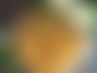 Gedeckter Apfelkuchen