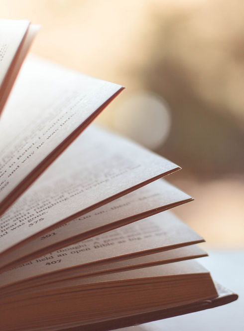 libro aperto