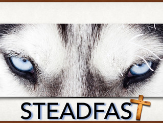 Be Steadfast - Week 4