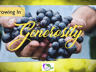Generosity - The Generosity Zone