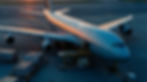 International Cargo Management