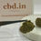 Miniature : Mango 2€ le Gramme