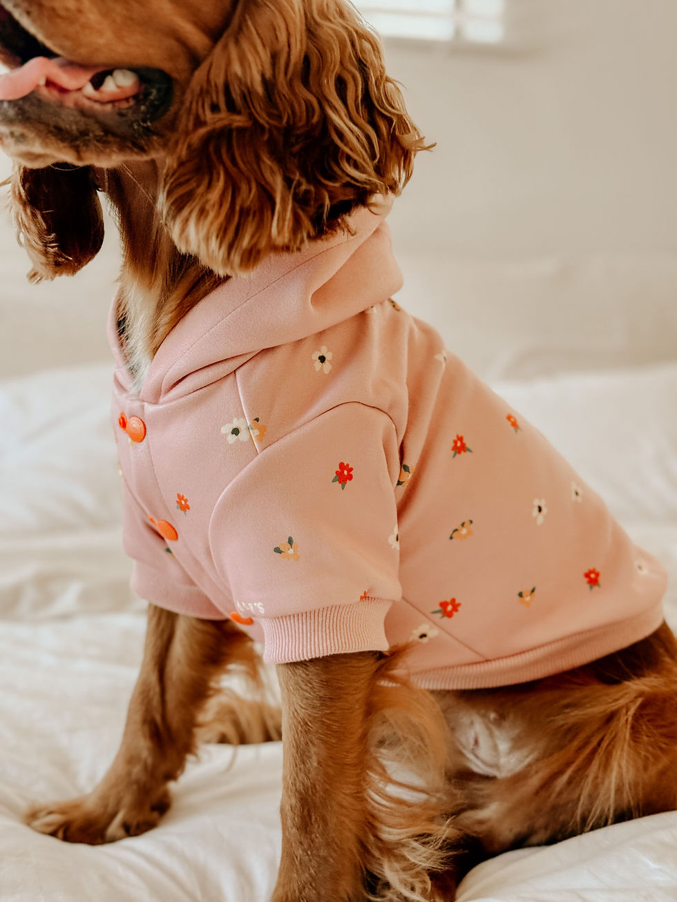 Thumbnail: Dogs Life Nature Loving Pup Winter Hoodie Pink