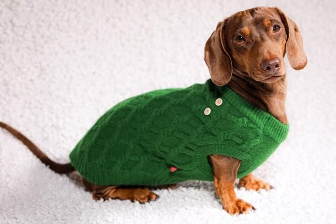 Thumbnail: Dogs Life Cableknit Winter Jumper Green