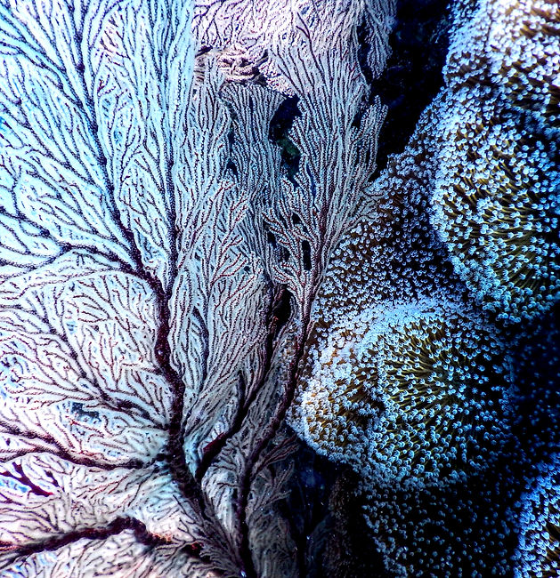 Near the island of Aragusuku there is a