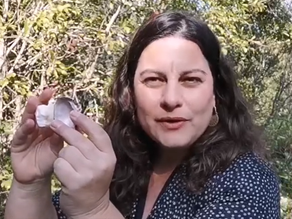 ליקוי חמה ב 14.12 והשפעתו עלינו