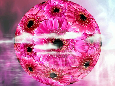 ונוס בנסיגה עד ה 25.6