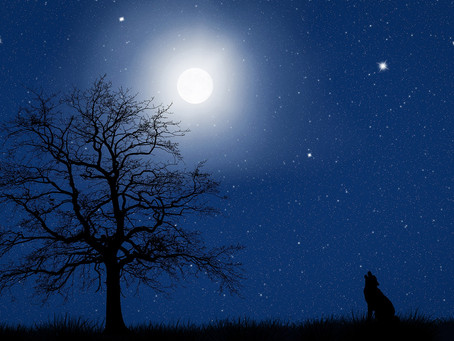 השמש בישורת עם מרחב האגם