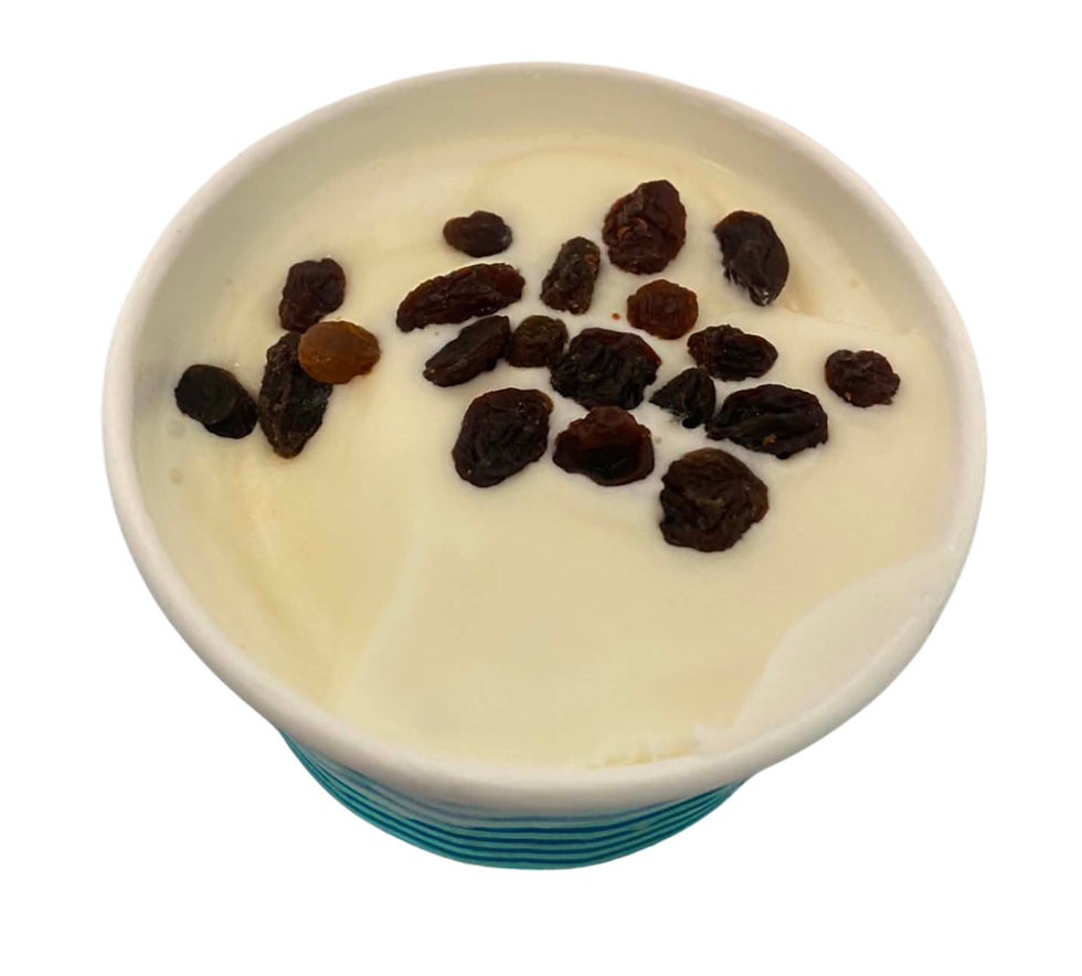 rum n raisin_edited.jpg