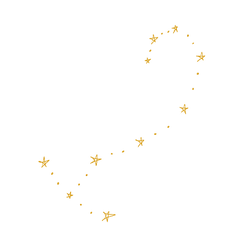 IMG_0443.PNG