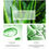 Thumbnail: Aloe Vera After Sun Cream