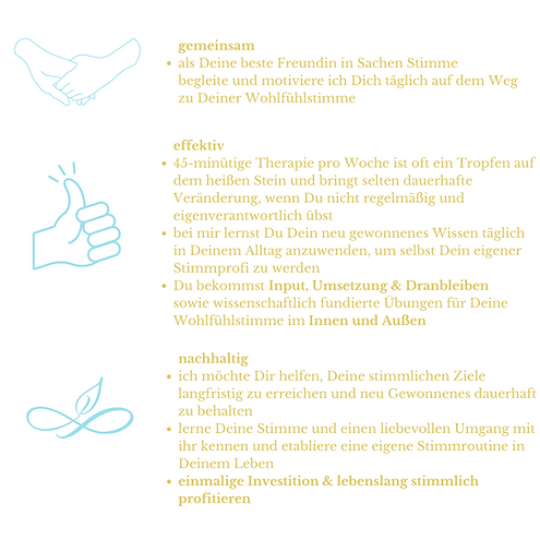 Stimme-31.png
