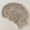 Curious how a single brain donation is set to change disease diagnosis? | AMRF