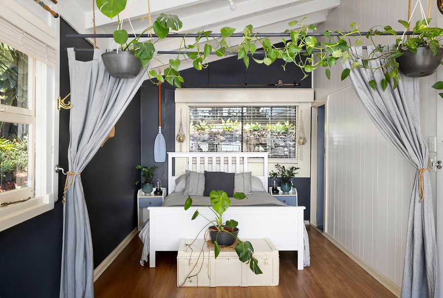 Dining table beneath hanging plants