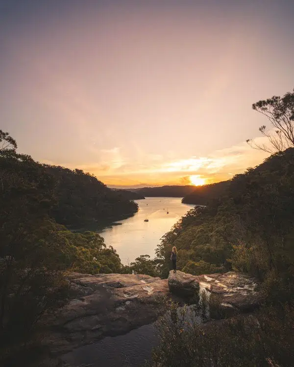 Ku-ring-gai National Park.webp