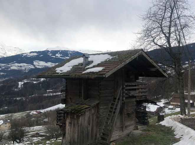 IMG_0662.jpeg