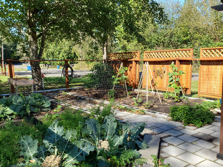 The Grayson bed & breakfast — breakfast, gardens and grounds photo