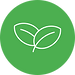 leaf (2).png