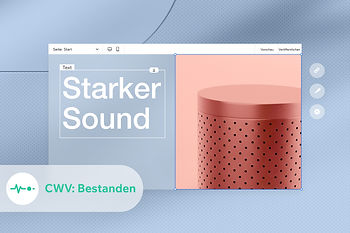 Eine eCommere-Website im Wix Editor. Im Vordergrund ein Tab, auf dem zu lesen ist, dass die Website die Core Web Vitals bestanden hat.
