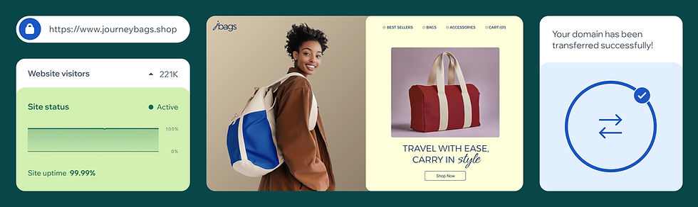Website dashboard stats, an eCommerce page and a domain transfer success message.